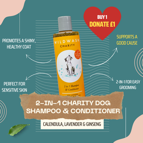 2-in-1 Hundeshampoo & Conditioner für den guten Zweck