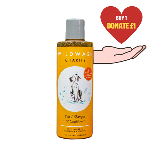 2-in-1 Hundeshampoo & Conditioner für den guten Zweck