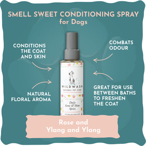 WildWash Pet Smell Sweet Spritz 150ml - Frische und Glanzspray