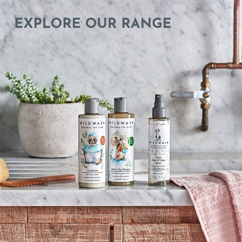Pro Shampoo Sensitiv für juckende Haut und Welpen - 300ml