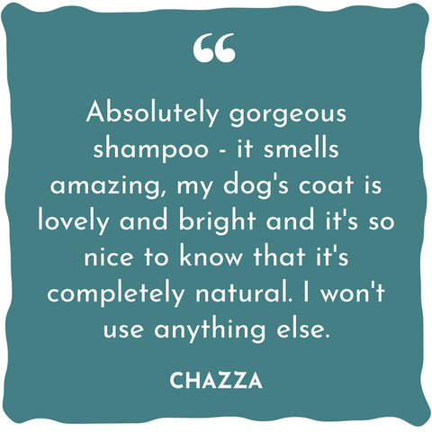 Shampoo für helles