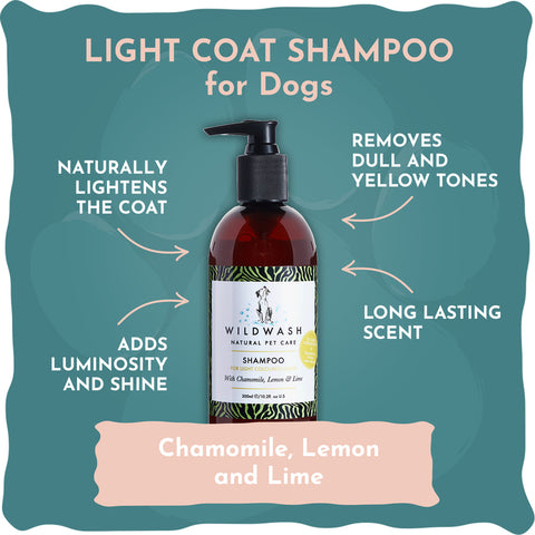 Shampoo für helles