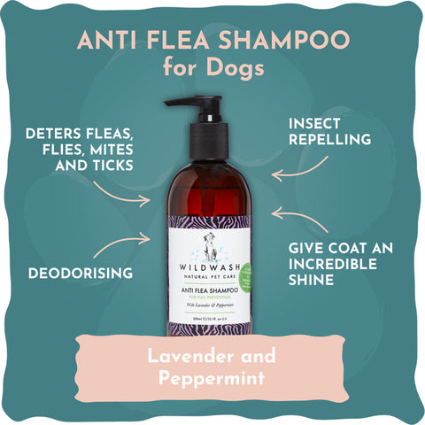 Anti-Floh Shampoo für Hunde