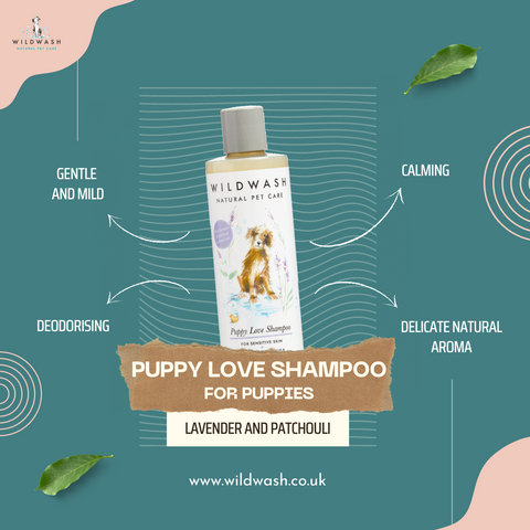 Puppy Shampoo mit Lavendel und Patschuli
