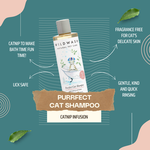Pet Shampoo Purrfect Cat (Katzenshampoo) - 250ml