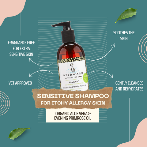 Pro Shampoo Sensitiv für juckende Haut und Welpen - 5000ml